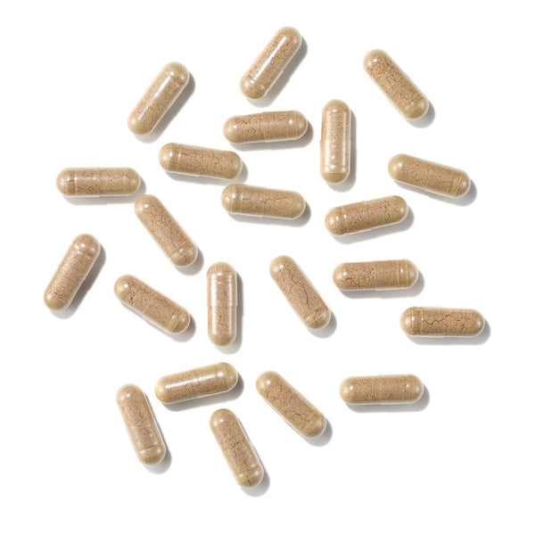 Longevity Supplements