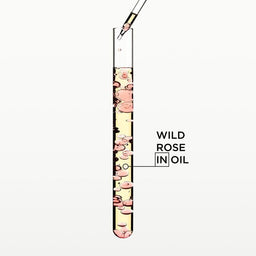 Kerastase Gloss Absolu High Gloss Lightweight Oil 45ml