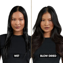 A side-by-side comparison of a model's long black hair, labeled 'WET' on the left and 'BLOW DRIED' on the right, against a plain white background.