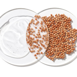 A top-down studio shot of a white oval dish containing a thick white cream, with a translucent oval overlay showing tan spherical particles, next to a pile of matching tan beads on a white background.