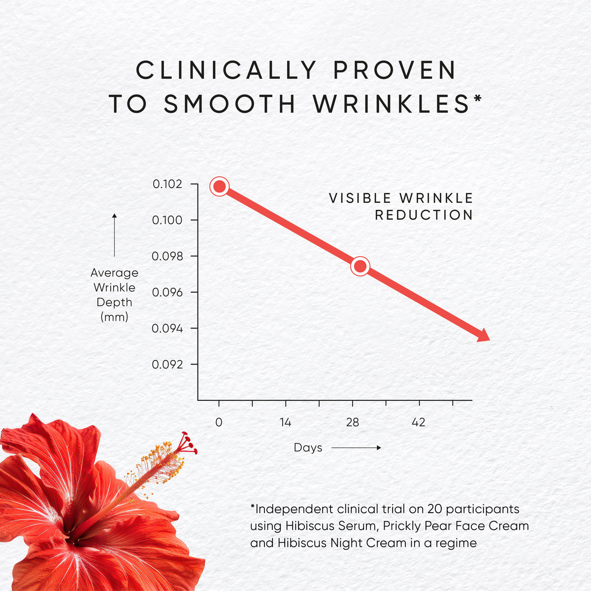 Graph showing visible wrinkle reduction with a red hibiscus flower on a white background