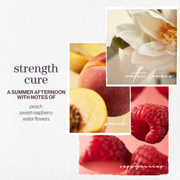 Pureology Strength Cure Conditioner 266ml