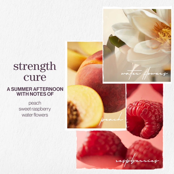 Pureology Strength Cure Conditioner 266ml