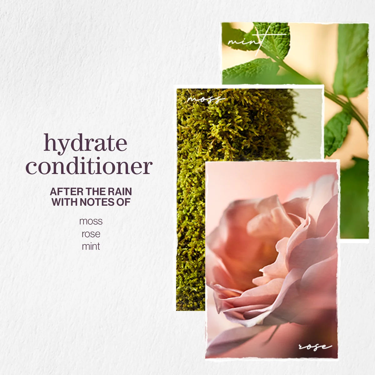 Pureology Hydrate Nourishing Conditioner 266ml